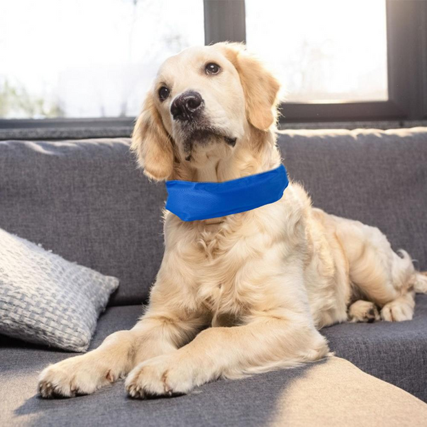 Icycollar™ - Collare Rinfrescante per il Comfort Estivo