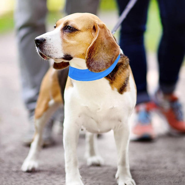 Icycollar™ - Collare Rinfrescante per il Comfort Estivo
